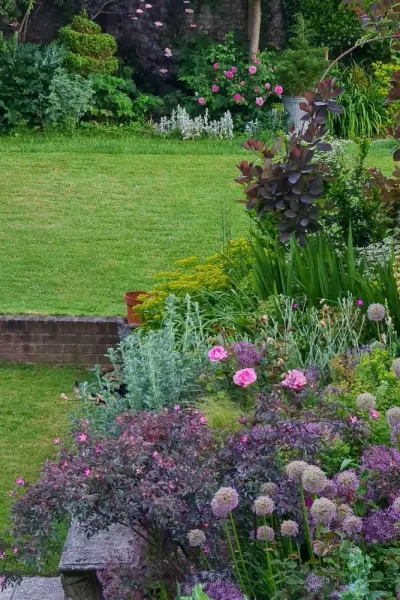 Adam's garden care Weeding in Portsmouth 1