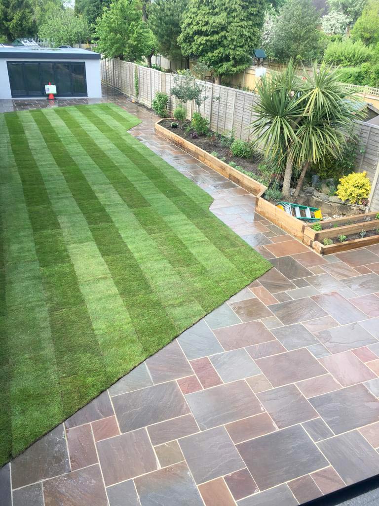 Adam's garden care Hedge cutting in Southampton 2